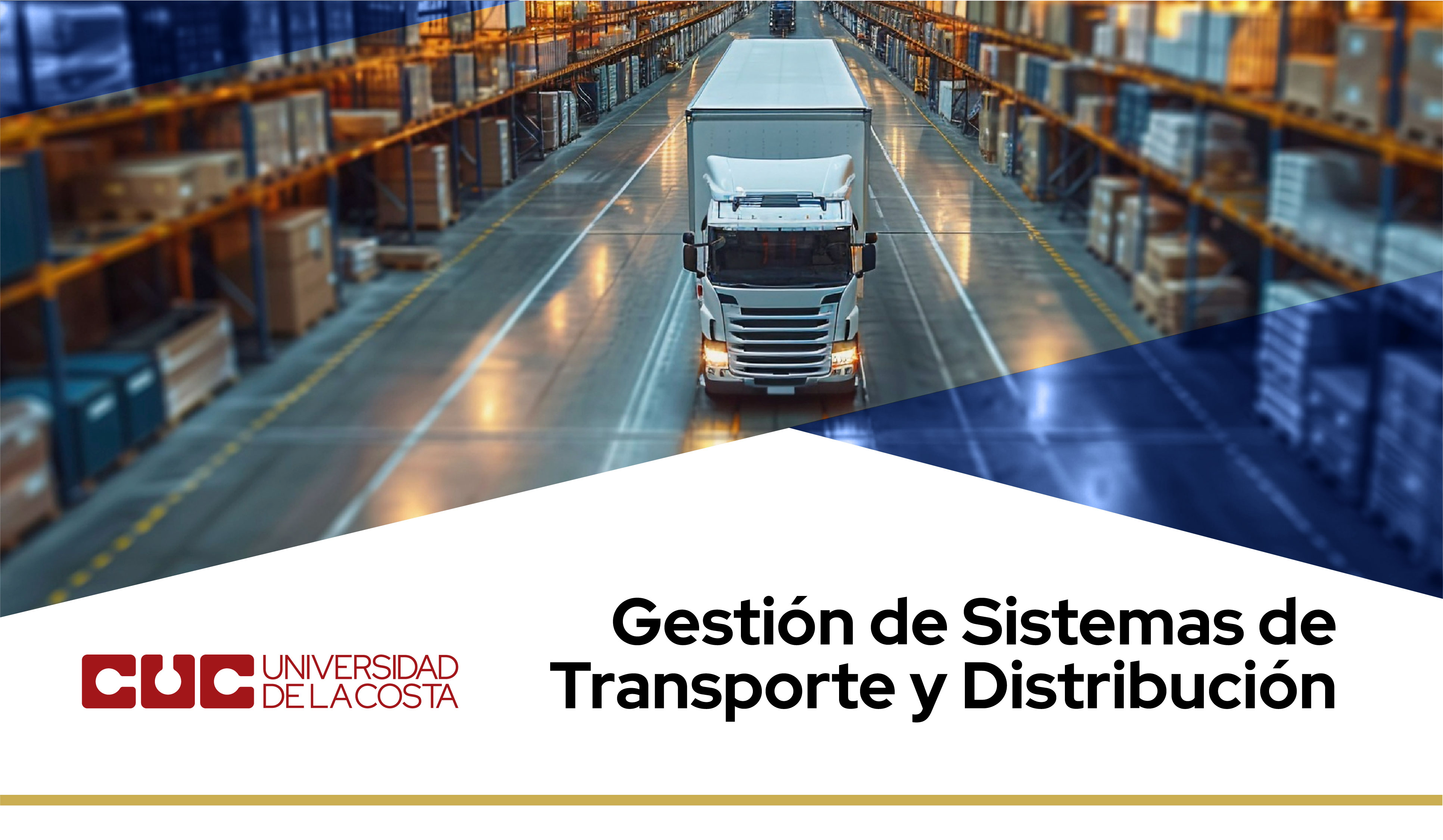 GESTIÓN DE SISTEMAS DE TRANSPORTE Y DISTRIBUCIÓN