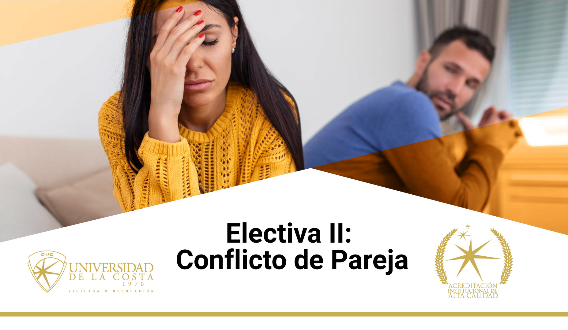Electiva II (Programas de Prevención y Promoción: 1. Conflicto de Pareja)