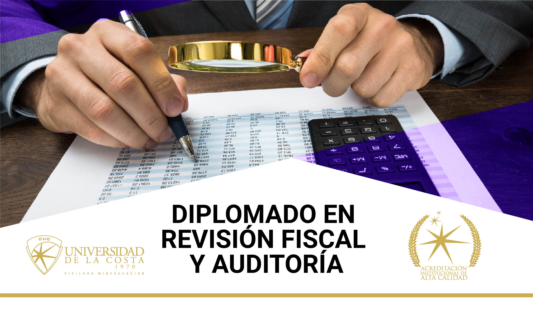 Revisión y auditoria