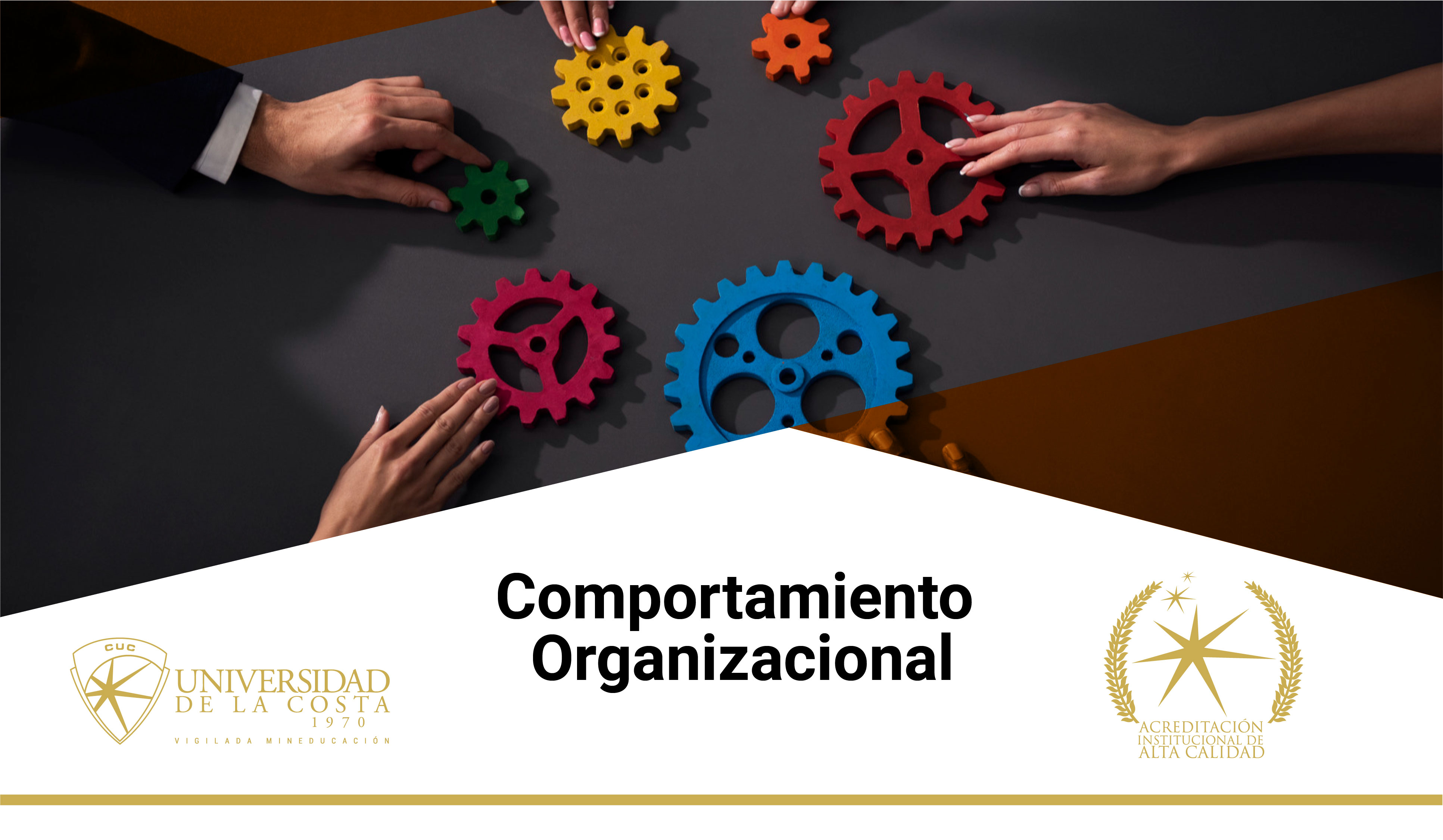 Comportamiento Organizacional