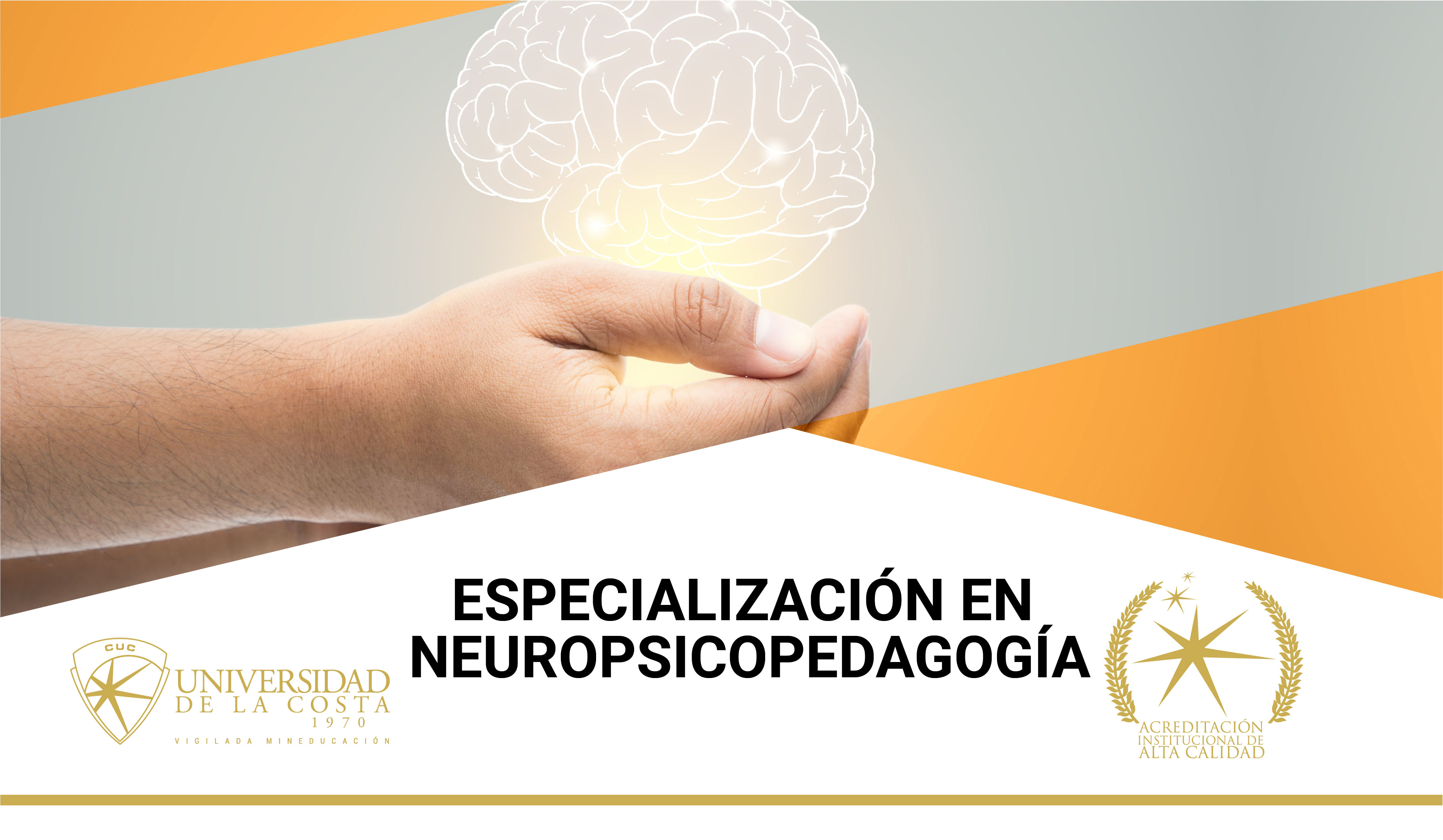 Neuropsicologia