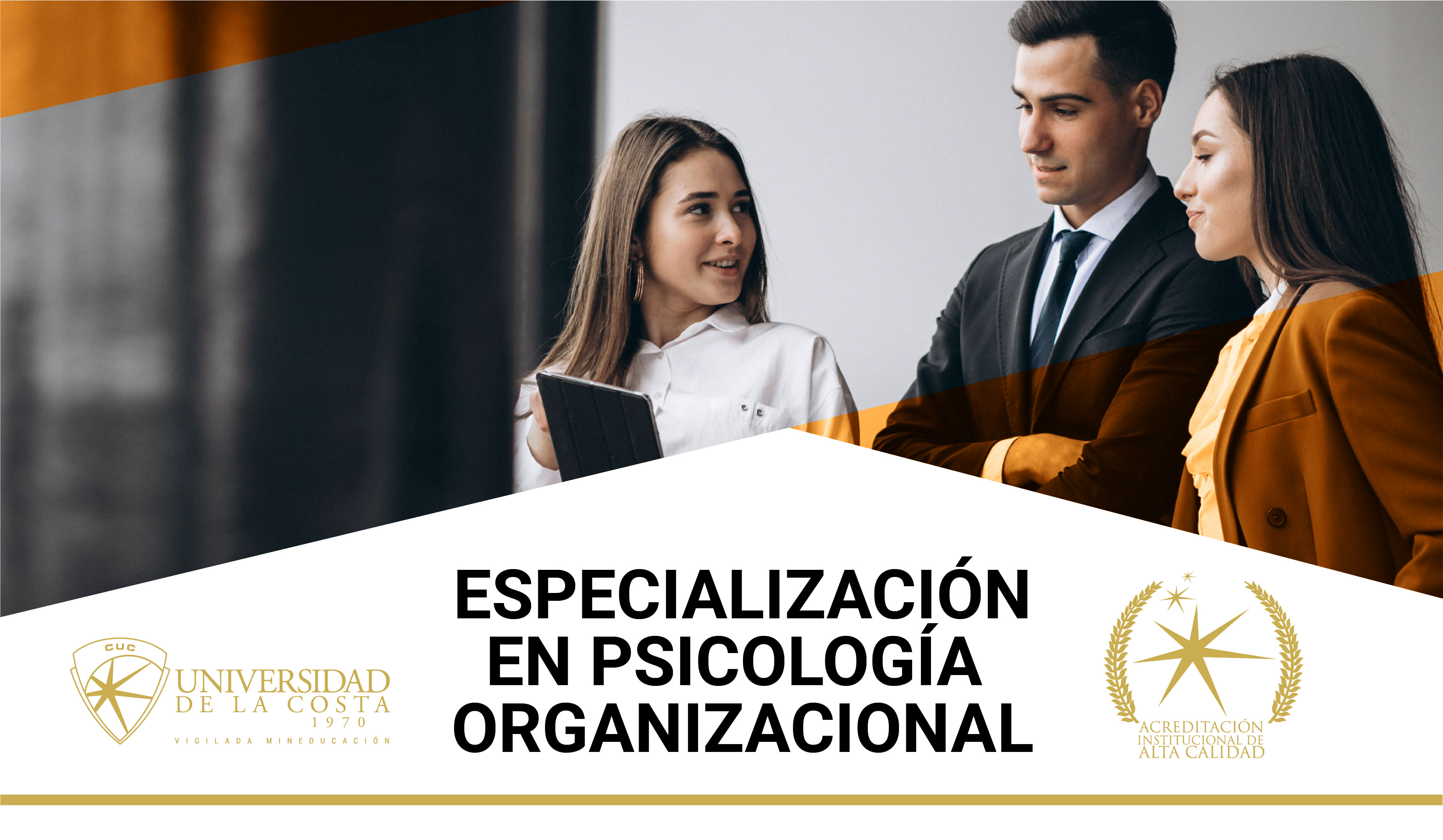 Organizacional