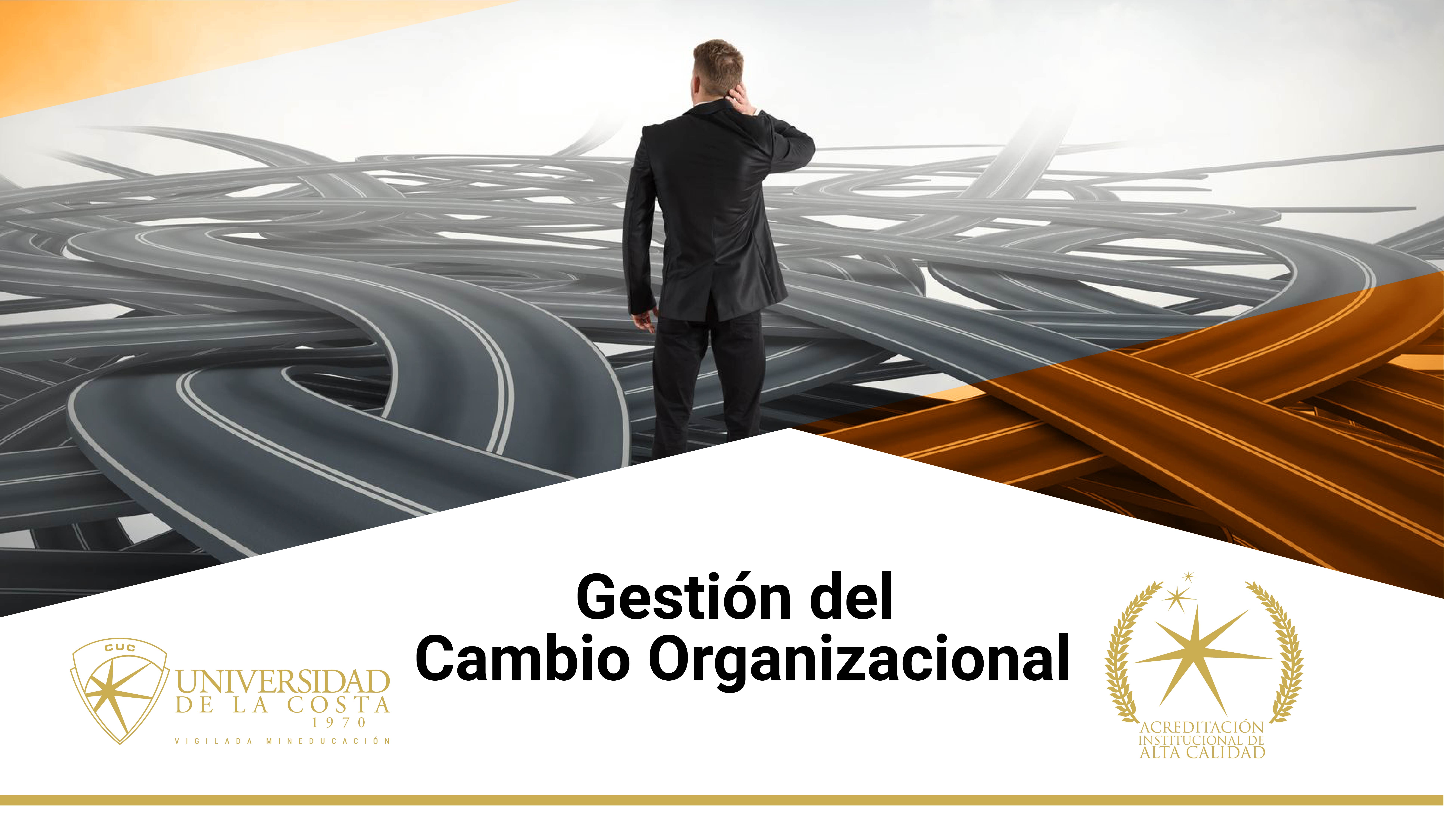 Gestion del Cambio Organizacional