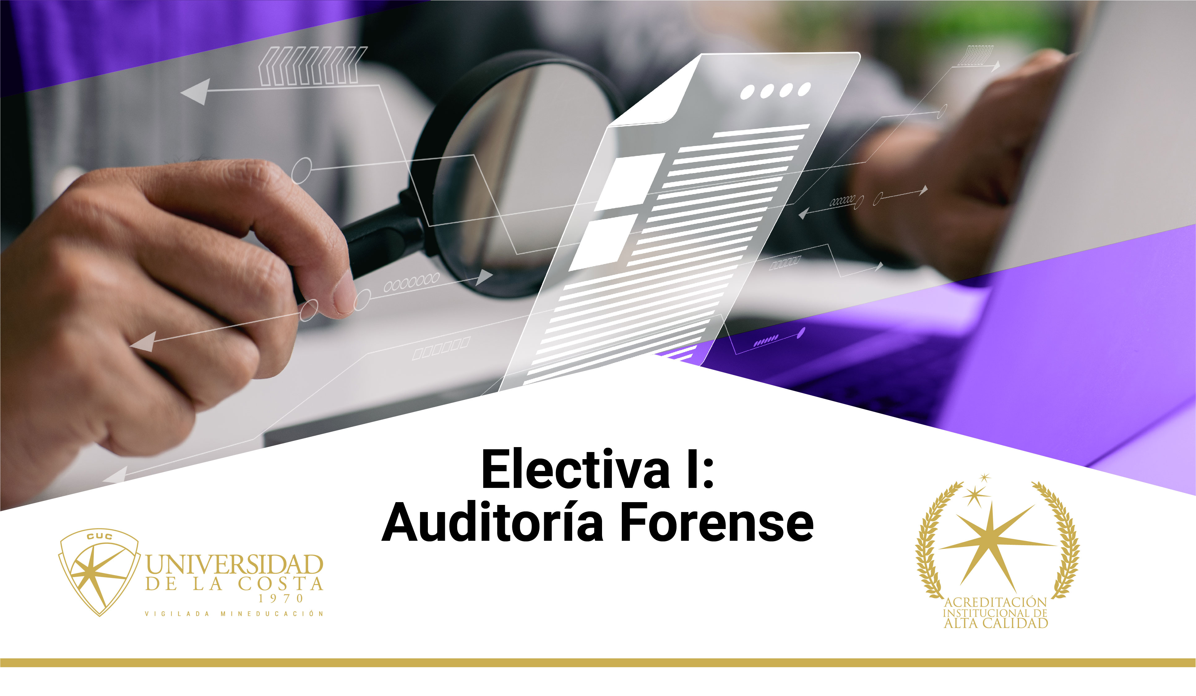 Electiva I - Auditora Forense