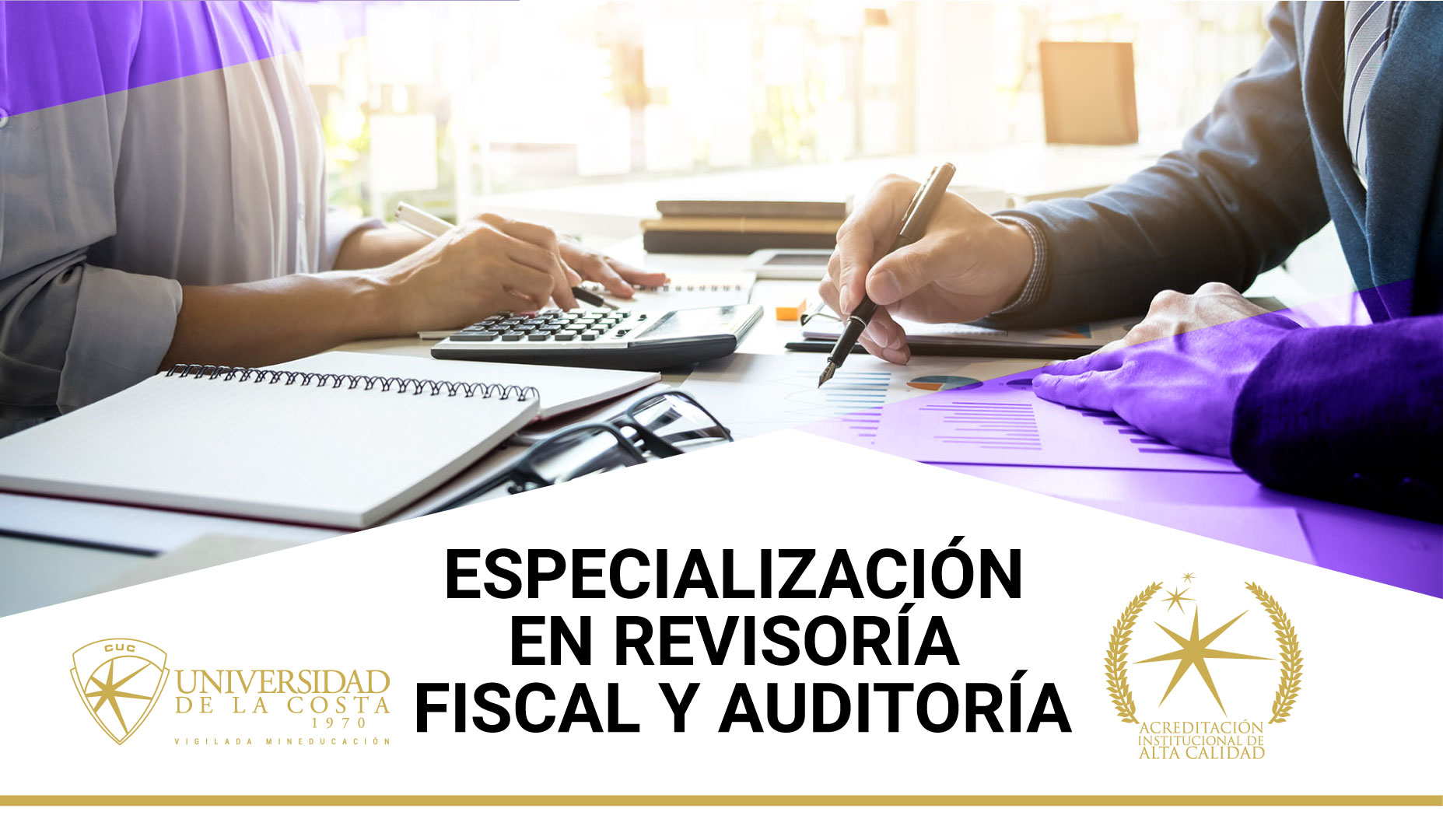 Especialización Revisoría Fiscal y Auditoría